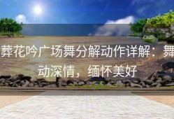 葬花吟广场舞分解动作详解：舞动深情，缅怀美好
