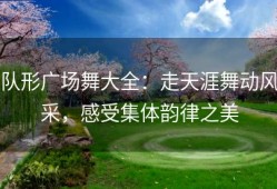 队形广场舞大全：走天涯舞动风采，感受集体韵律之美