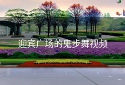 迎宾广场的鬼步舞视频