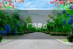 广场舞gj