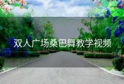 双人广场桑巴舞教学视频