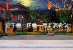 扇子舞广场舞一壶老酒教学