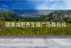 健康减肥养生操广场舞视频