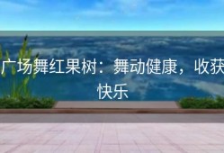 广场舞红果树：舞动健康，收获快乐