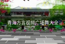 青海方言视频广场舞大全