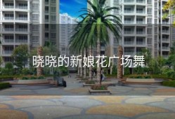 晓晓的新娘花广场舞