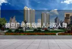 糖豆广场舞烟雨人间双人舞