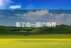 看了你一眼广场舞