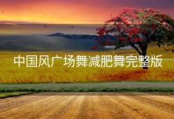 中国风广场舞减肥舞完整版