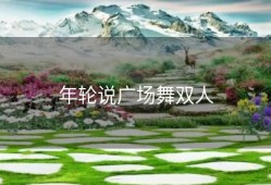 年轮说广场舞双人