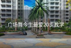 广场舞今生最爱20步教学