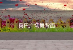 桑巴广场舞背面