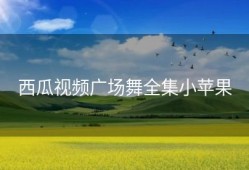 西瓜视频广场舞全集小苹果