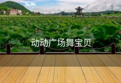 动动广场舞宝贝