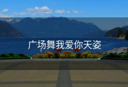 广场舞我爱你天姿