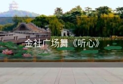 金社广场舞《听心》