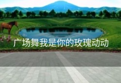 广场舞我是你的玫瑰动动