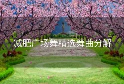 减肥广场舞精选舞曲分解