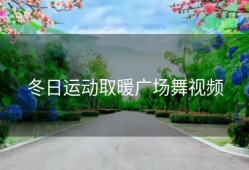 冬日运动取暖广场舞视频