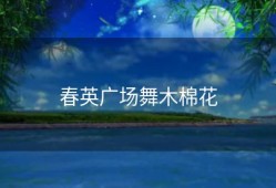 春英广场舞木棉花