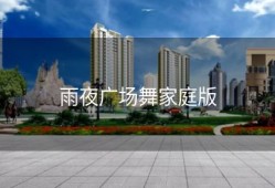 雨夜广场舞家庭版