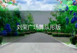 刘荣广场舞队形版