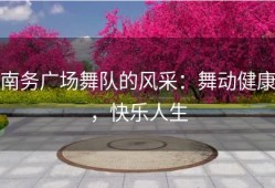 南务广场舞队的风采：舞动健康，快乐人生