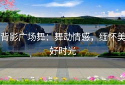 背影广场舞：舞动情感，缅怀美好时光