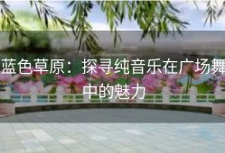 蓝色草原：探寻纯音乐在广场舞中的魅力