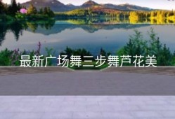 最新广场舞三步舞芦花美