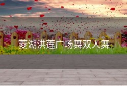 菱湖洪莲广场舞双人舞