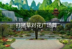 打猪草对花广场舞