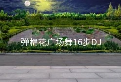 弹棉花广场舞16步DJ