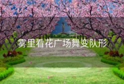 雾里看花广场舞变队形
