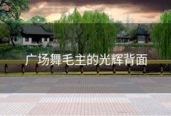 广场舞毛主的光辉背面