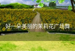 好一朵美丽的茉莉花广场舞