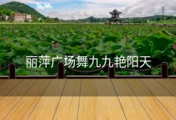 丽萍广场舞九九艳阳天