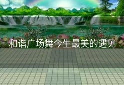 和谐广场舞今生最美的遇见