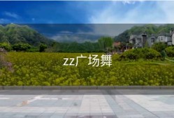 zz广场舞