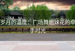 岁月的温度：广场舞姐妹花的牵手时光