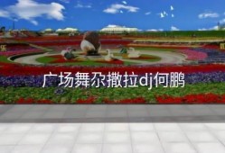 广场舞尕撒拉dj何鹏