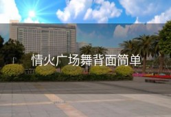 情火广场舞背面简单