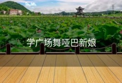 学广场舞哑巴新娘