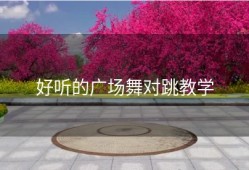 好听的广场舞对跳教学