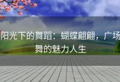 阳光下的舞蹈：蝴蝶翩翩，广场舞的魅力人生