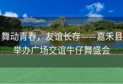 舞动青春，友谊长存——嘉禾县举办广场交谊牛仔舞盛会