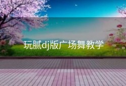 玩腻dj版广场舞教学