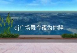 dj广场舞今夜为你醉