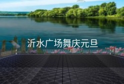 沂水广场舞庆元旦