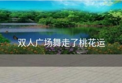 双人广场舞走了桃花运